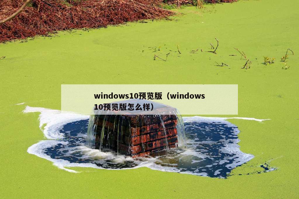 windows10预览版（windows10预览版怎么样）