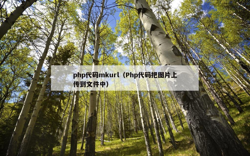 php代码mkurl（Php代码把图片上传到文件中）