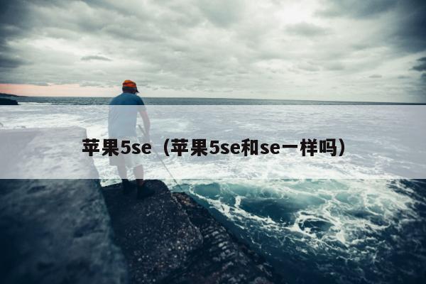 苹果5se（苹果5se和se一样吗）