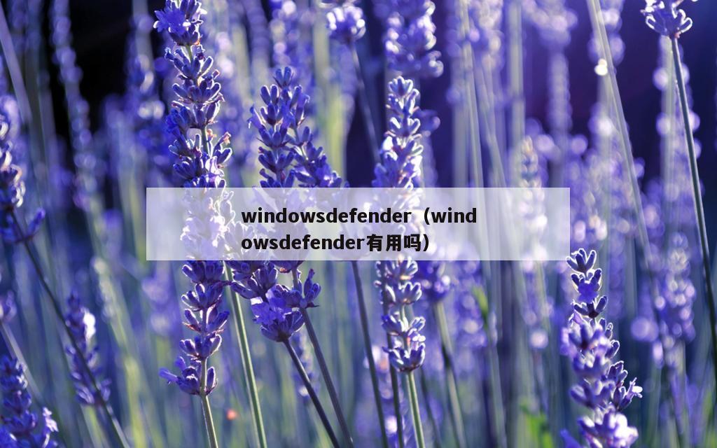 windowsdefender（windowsdefender有用吗）