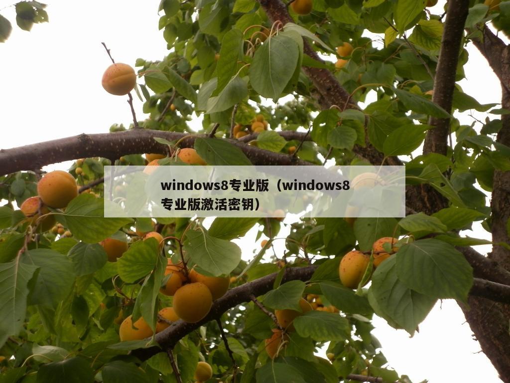 windows8专业版（windows8专业版激活密钥）