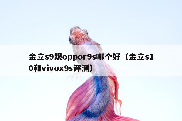 金立s9跟oppor9s哪个好（金立s10和vivox9s评测）