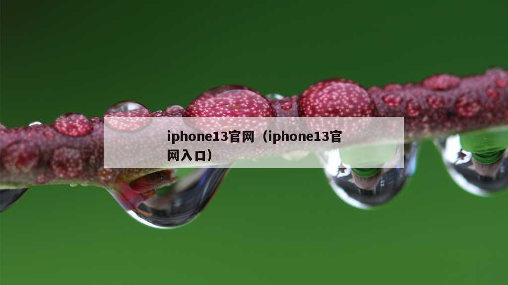 iphone13官网（iphone13官网入口）