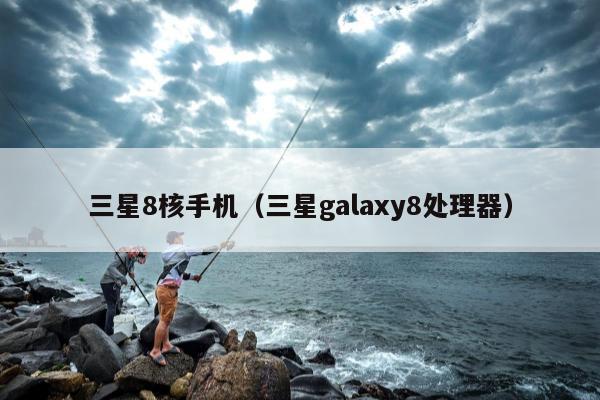 三星8核手机（三星galaxy8处理器）