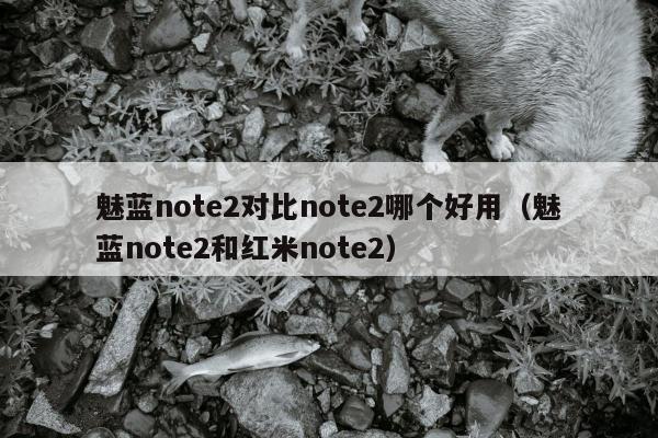 魅蓝note2对比note2哪个好用（魅蓝note2和红米note2）