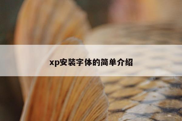 xp安装字体的简单介绍