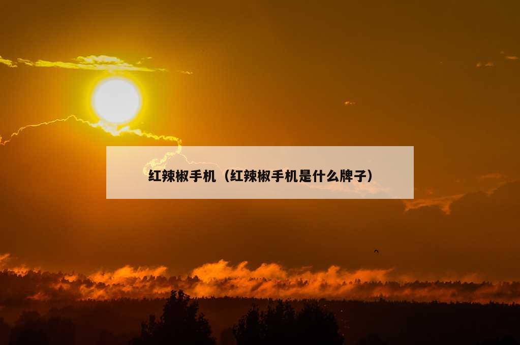 红辣椒手机（红辣椒手机是什么牌子）