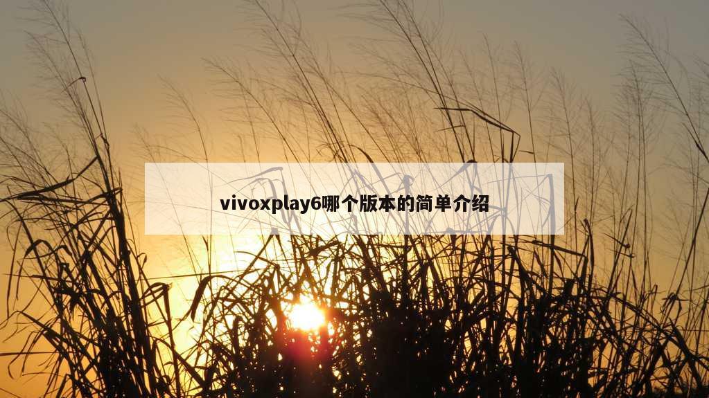 vivoxplay6哪个版本的简单介绍