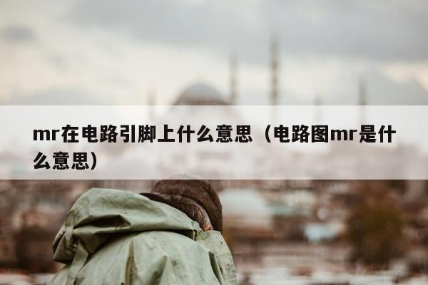 mr在电路引脚上什么意思（电路图mr是什么意思）