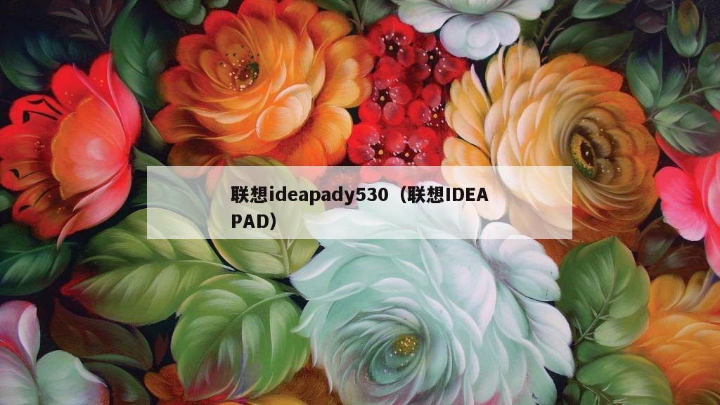 联想ideapady530（联想IDEAPAD）