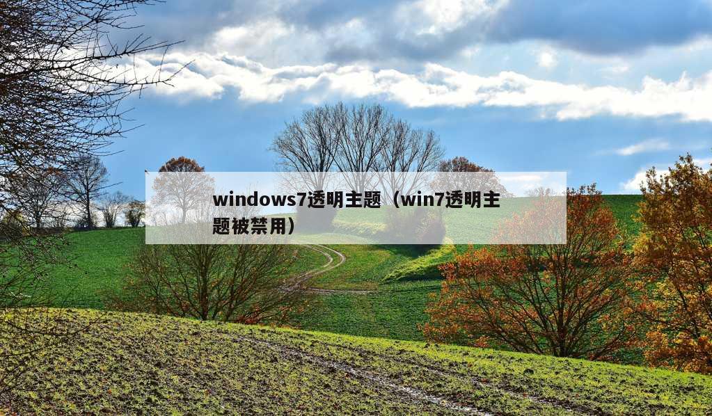 windows7透明主题（win7透明主题被禁用）