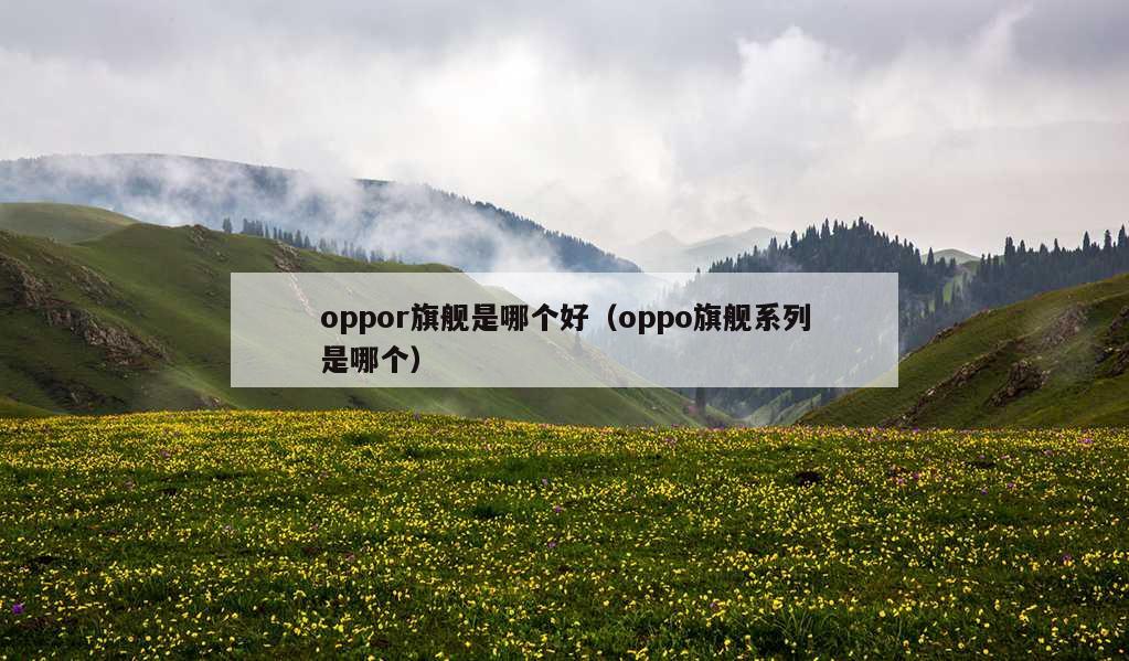 oppor旗舰是哪个好（oppo旗舰系列是哪个）