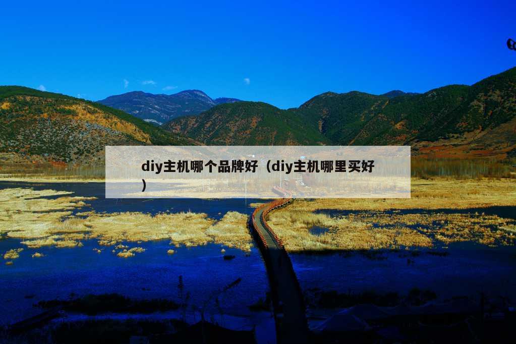 diy主机哪个品牌好（diy主机哪里买好）