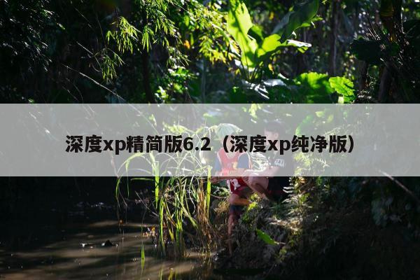 深度xp精简版6.2（深度xp纯净版）