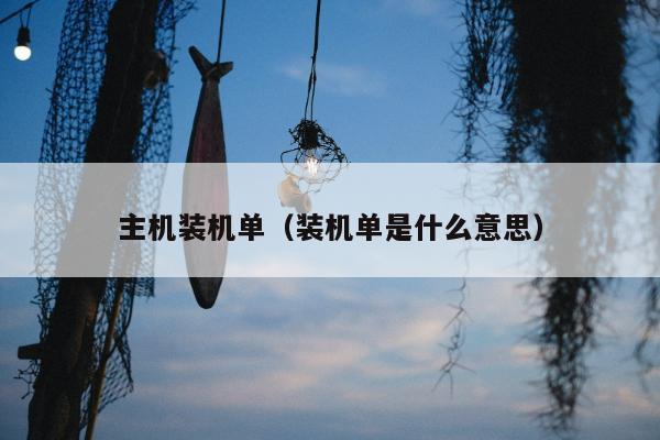 主机装机单（装机单是什么意思）