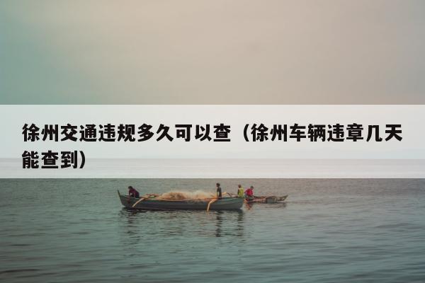 徐州交通违规多久可以查（徐州车辆违章几天能查到）