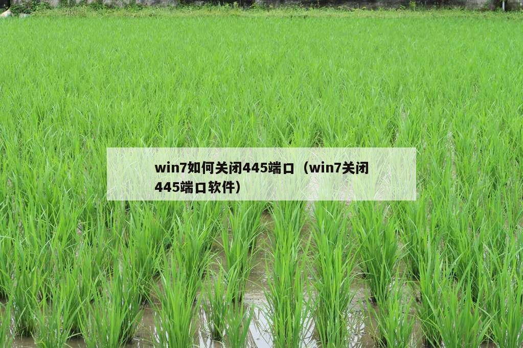 win7如何关闭445端口（win7关闭445端口软件）