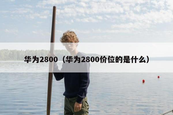 华为2800（华为2800价位的是什么）