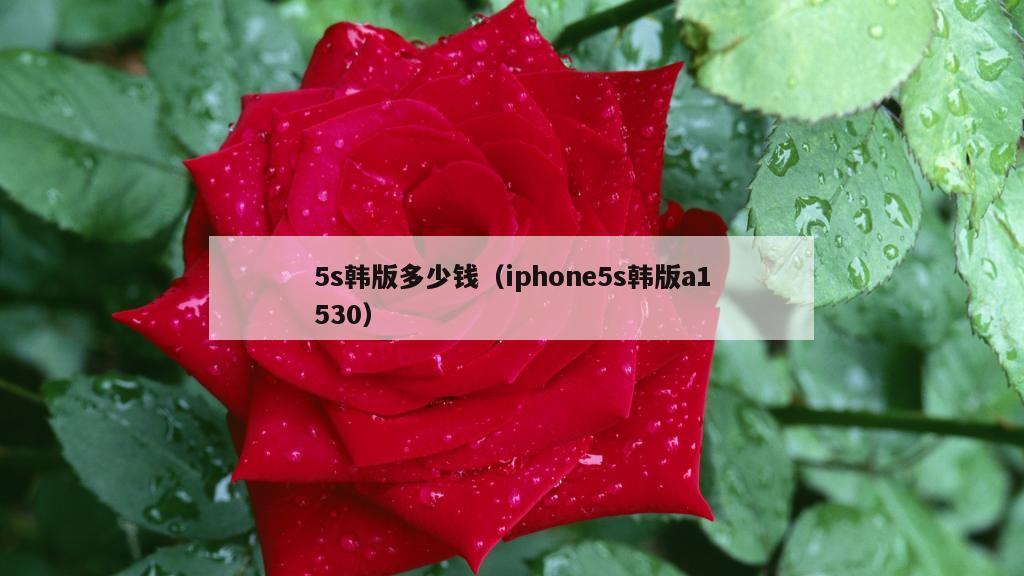 5s韩版多少钱（iphone5s韩版a1530）