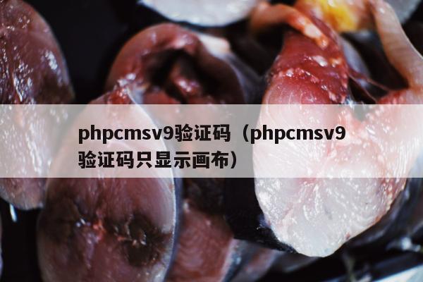 phpcmsv9验证码（phpcmsv9验证码只显示画布）