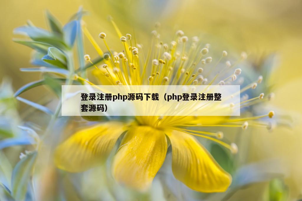 登录注册php源码下载（php登录注册整套源码）