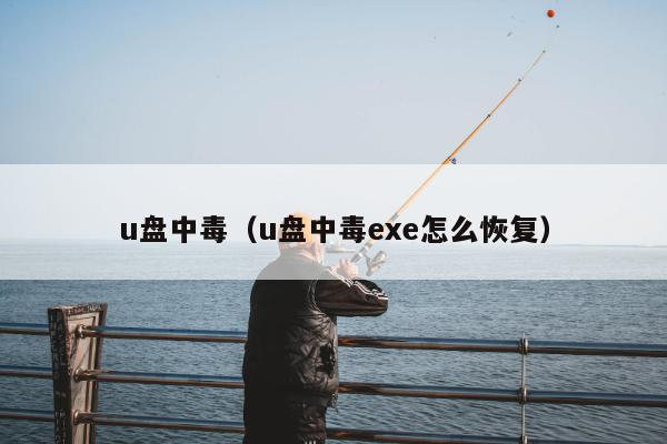 u盘中毒（u盘中毒exe怎么恢复）