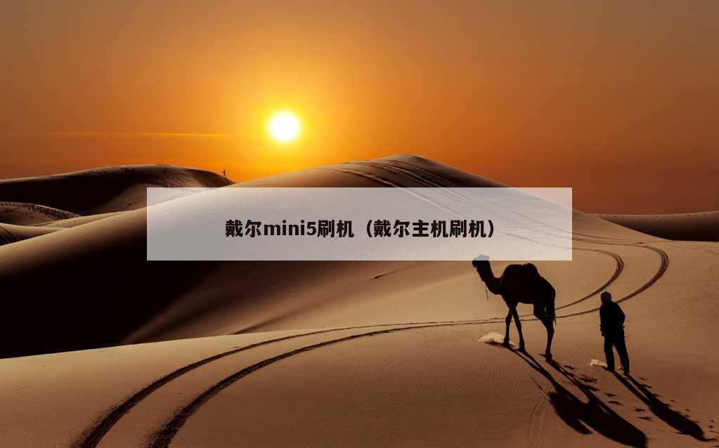 戴尔mini5刷机（戴尔主机刷机）