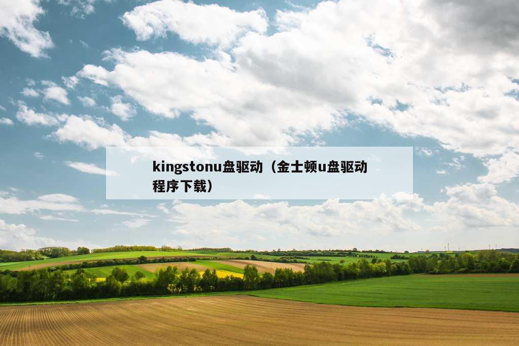 kingstonu盘驱动（金士顿u盘驱动程序下载）