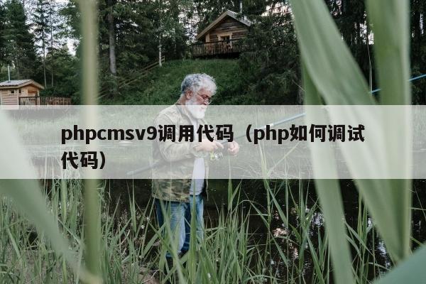 phpcmsv9调用代码（php如何调试代码）