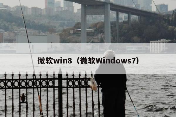 微软win8（微软Windows7）