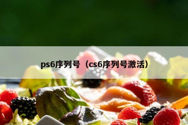 ps6序列号（cs6序列号激活）