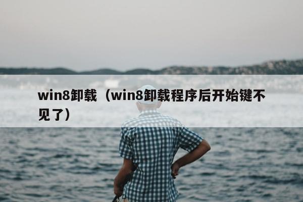 win8卸载（win8卸载程序后开始键不见了）