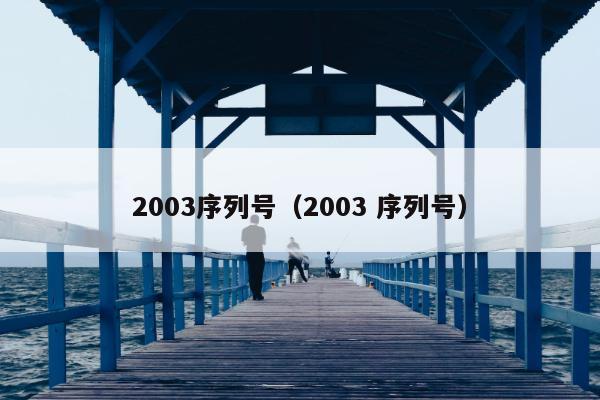 2003序列号（2003 序列号）