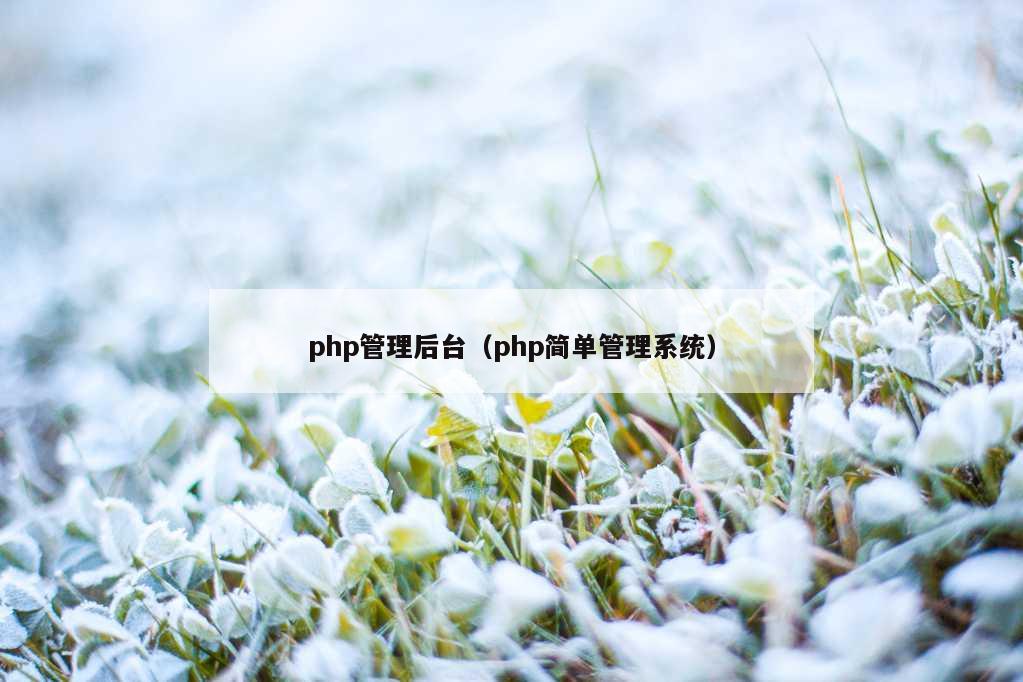 php管理后台（php简单管理系统）