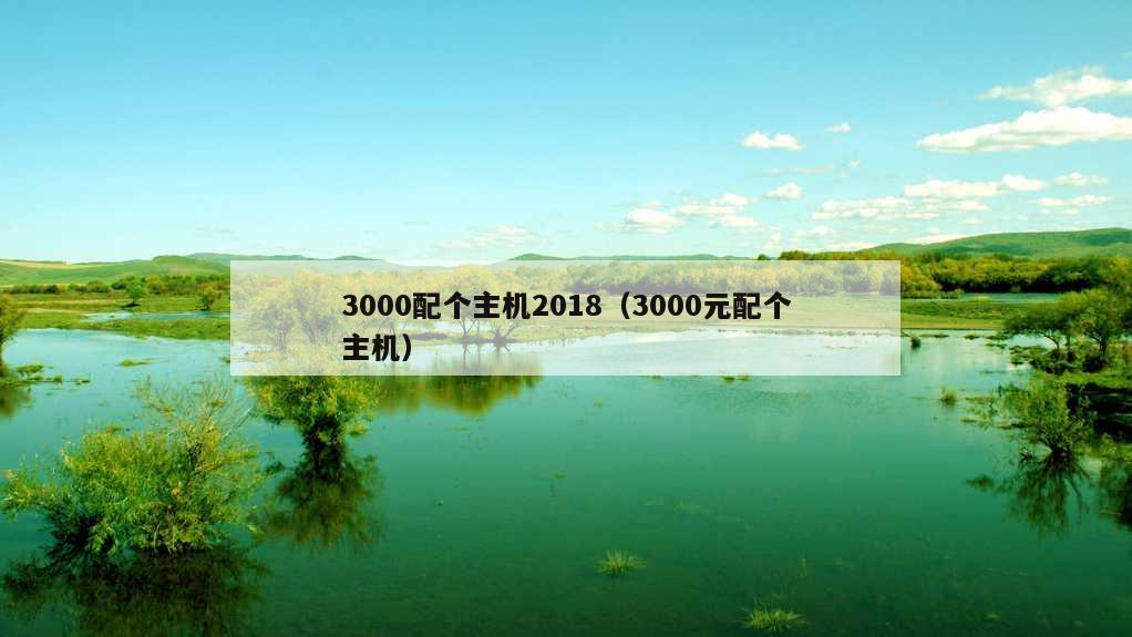 3000配个主机2018（3000元配个主机）