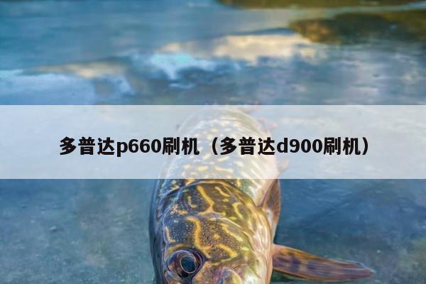 多普达p660刷机（多普达d900刷机）