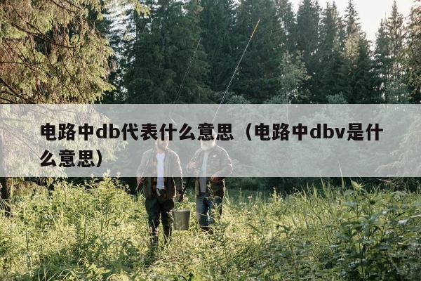 电路中db代表什么意思（电路中dbv是什么意思）