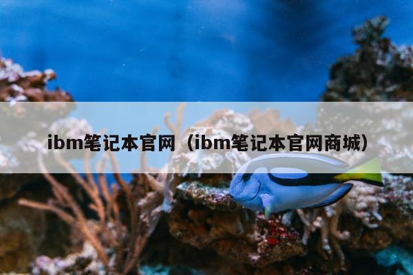 ibm笔记本官网（ibm笔记本官网商城）