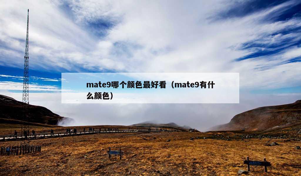 mate9哪个颜色最好看（mate9有什么颜色）