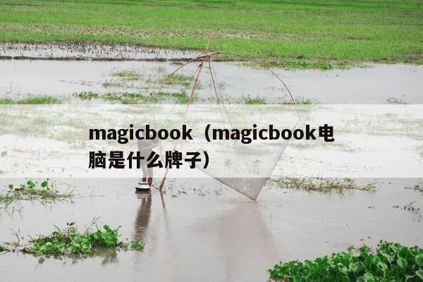 magicbook（magicbook电脑是什么牌子）