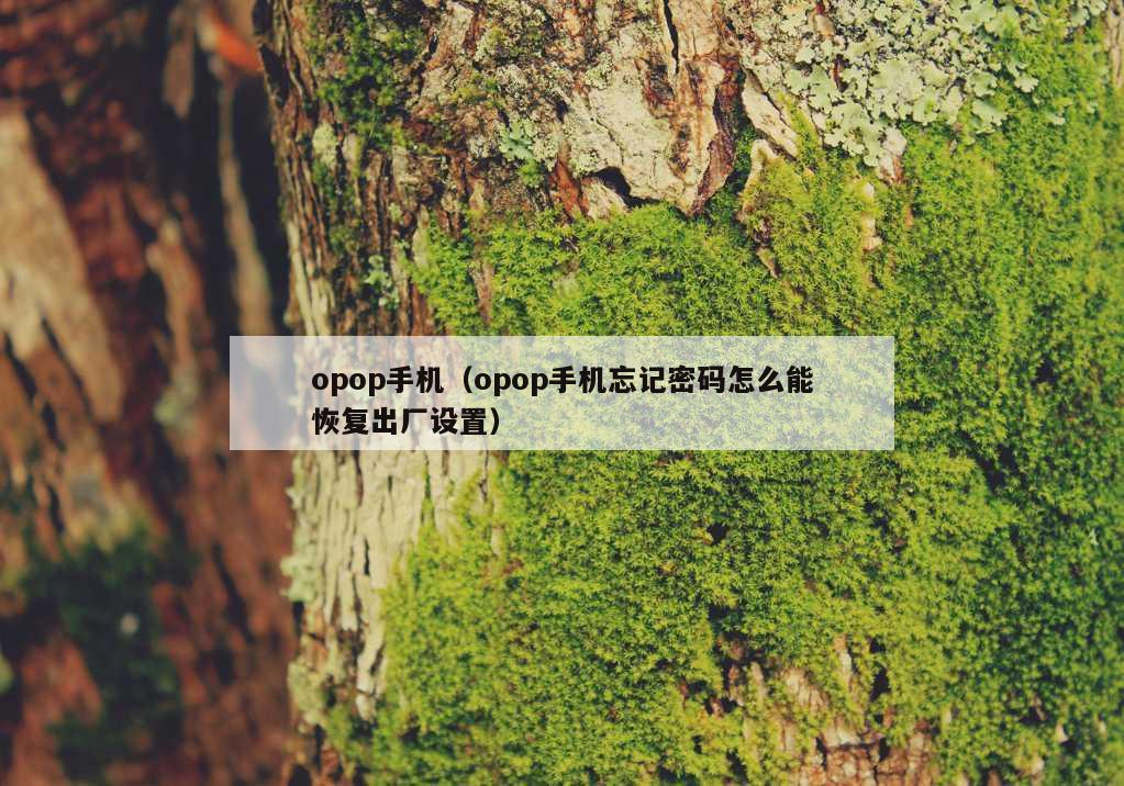 opop手机（opop手机忘记密码怎么能恢复出厂设置）