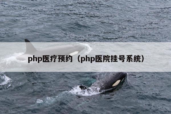 php医疗预约（php医院挂号系统）