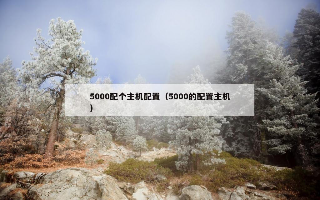 5000配个主机配置（5000的配置主机）