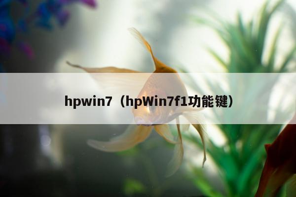 hpwin7（hpWin7f1功能键）