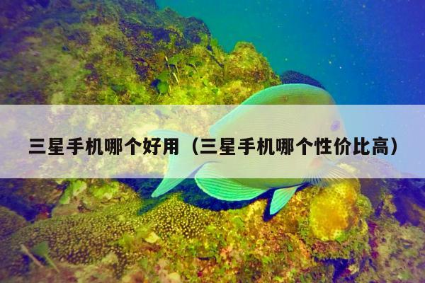 三星手机哪个好用（三星手机哪个性价比高）