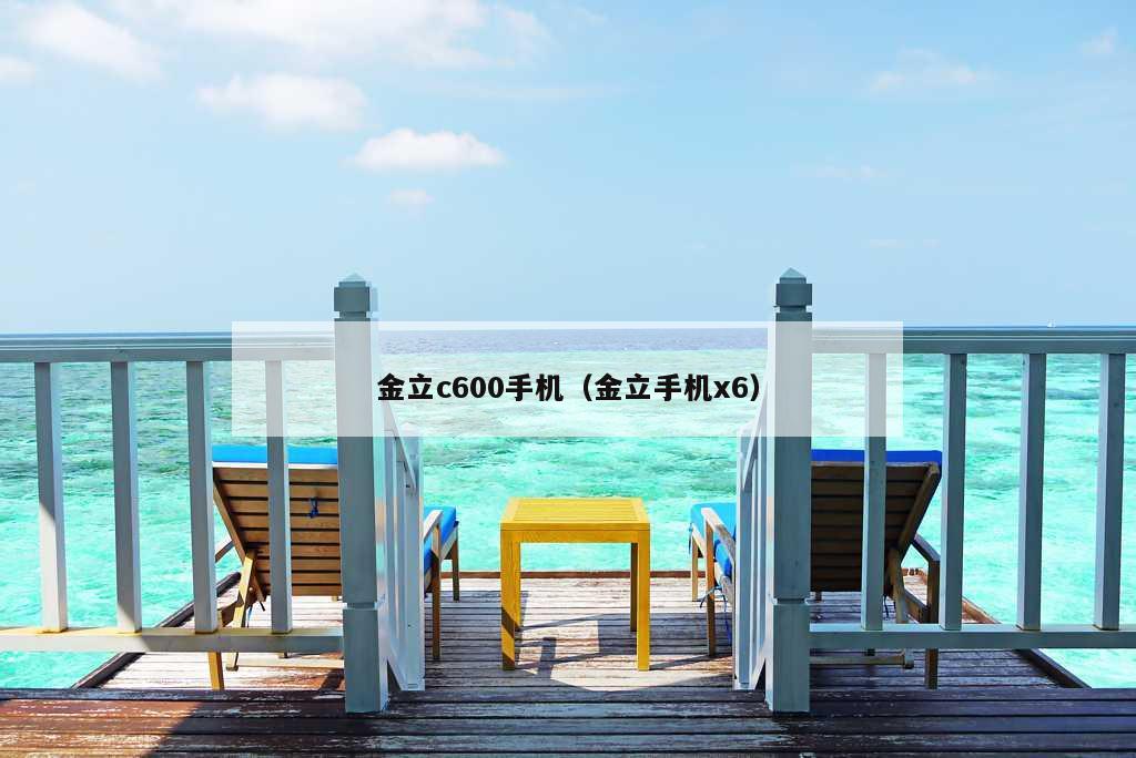 金立c600手机（金立手机x6）