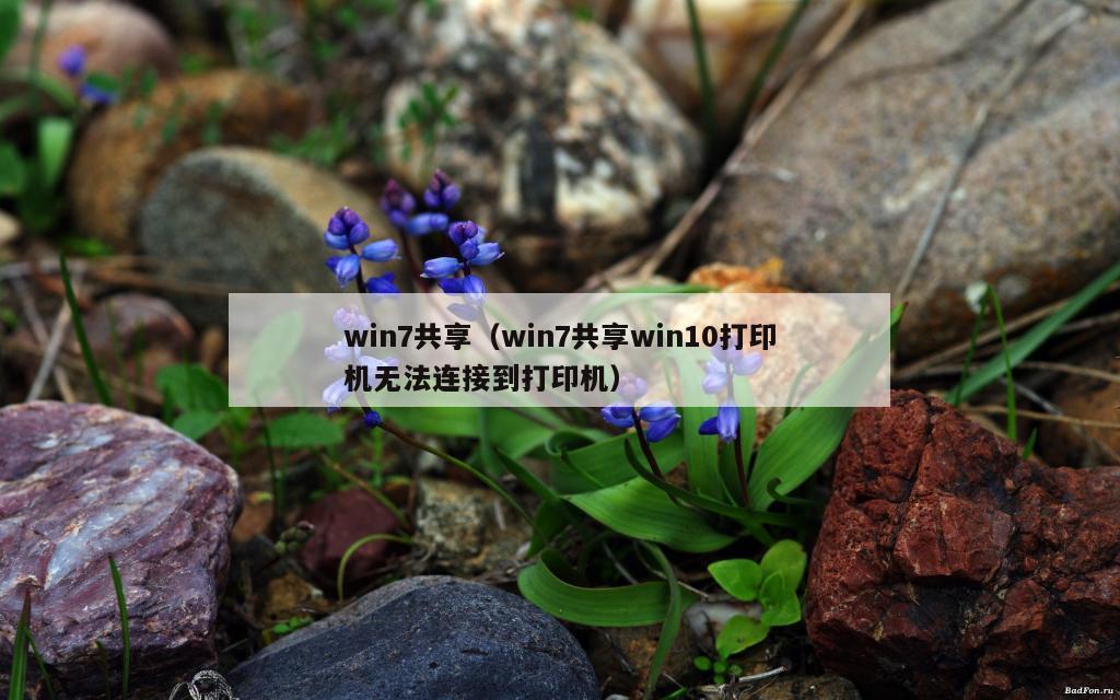 win7共享（win7共享win10打印机无法连接到打印机）