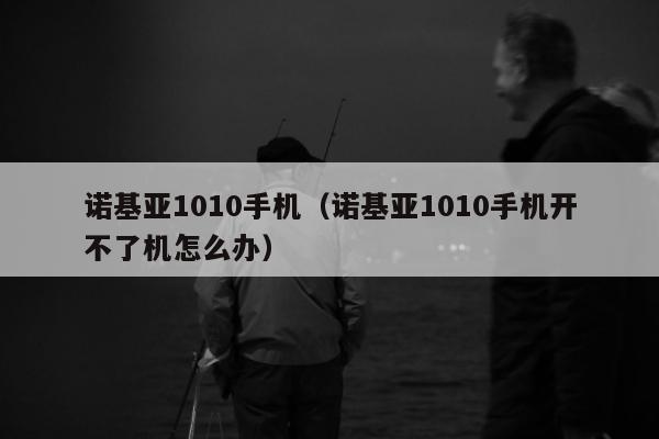 诺基亚1010手机（诺基亚1010手机开不了机怎么办）