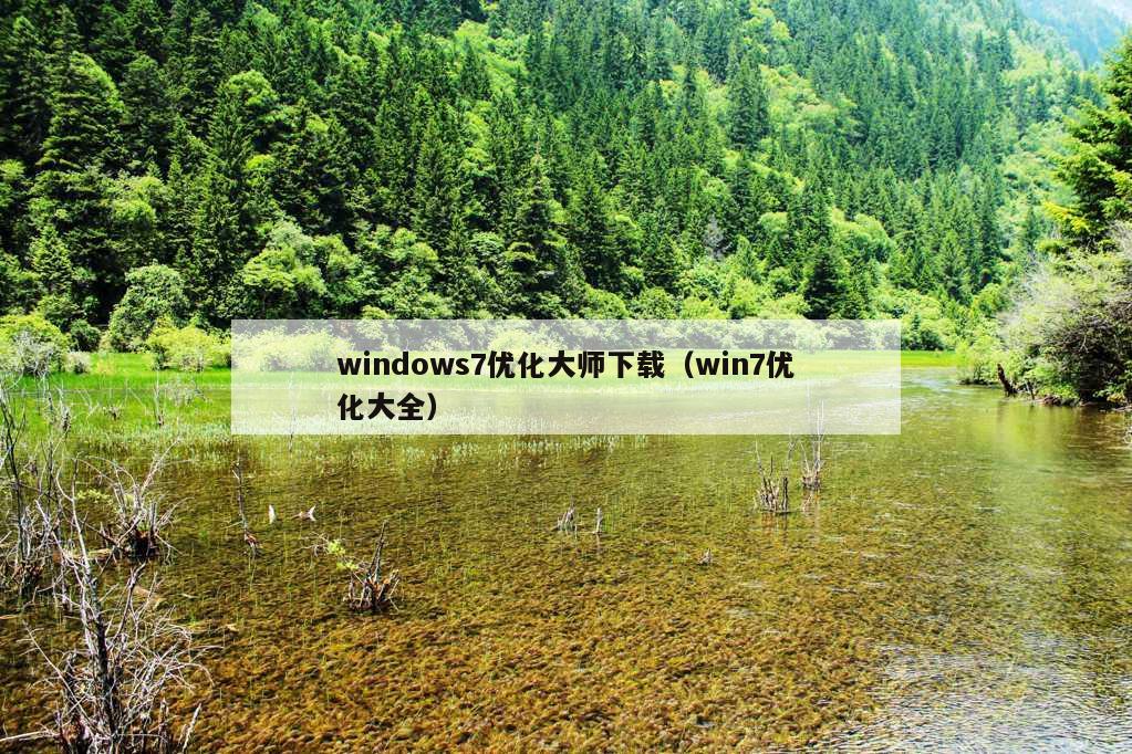 windows7优化大师下载（win7优化大全）