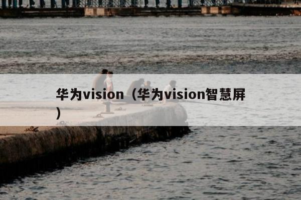 华为vision（华为vision智慧屏）